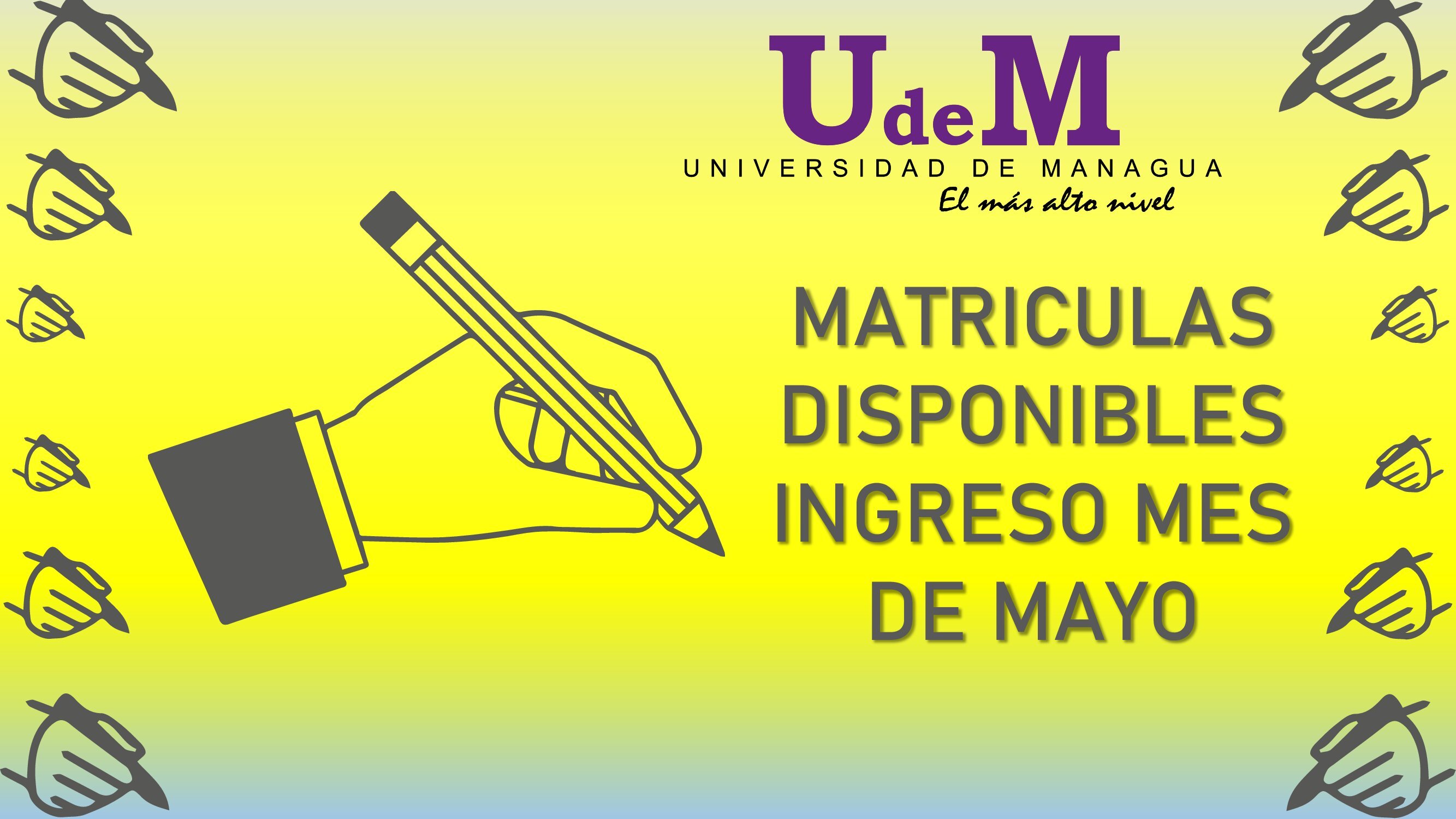 Ingresos